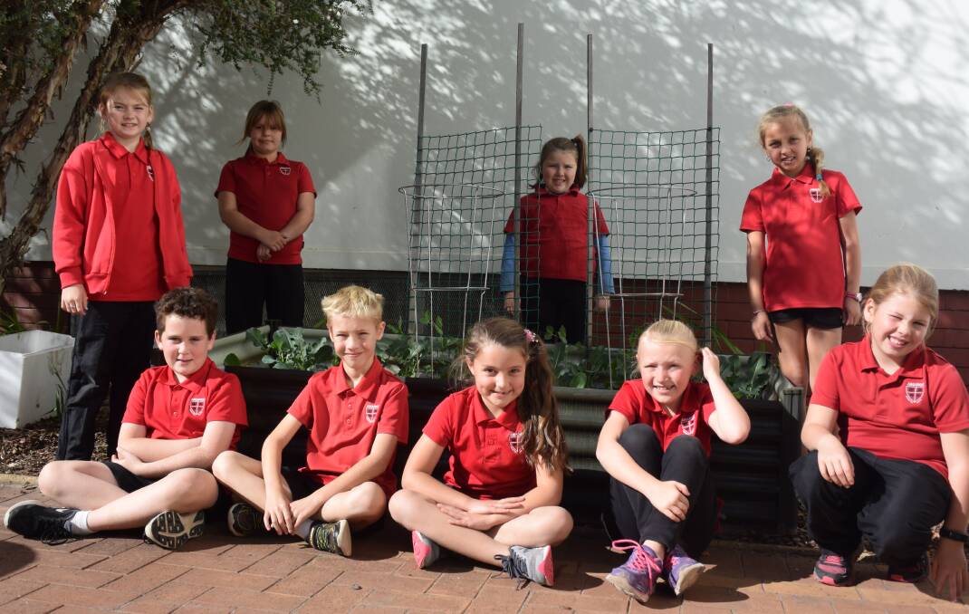 Green thumbs: Amaroo Primary School's Year 3, Room 17 students have helped out with the edible garden over the past semester. Photo: Thomas Munday. 