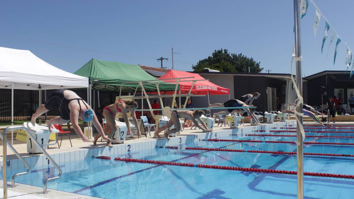 Collie Senior High School held its annual swimming carnival earlier this month.