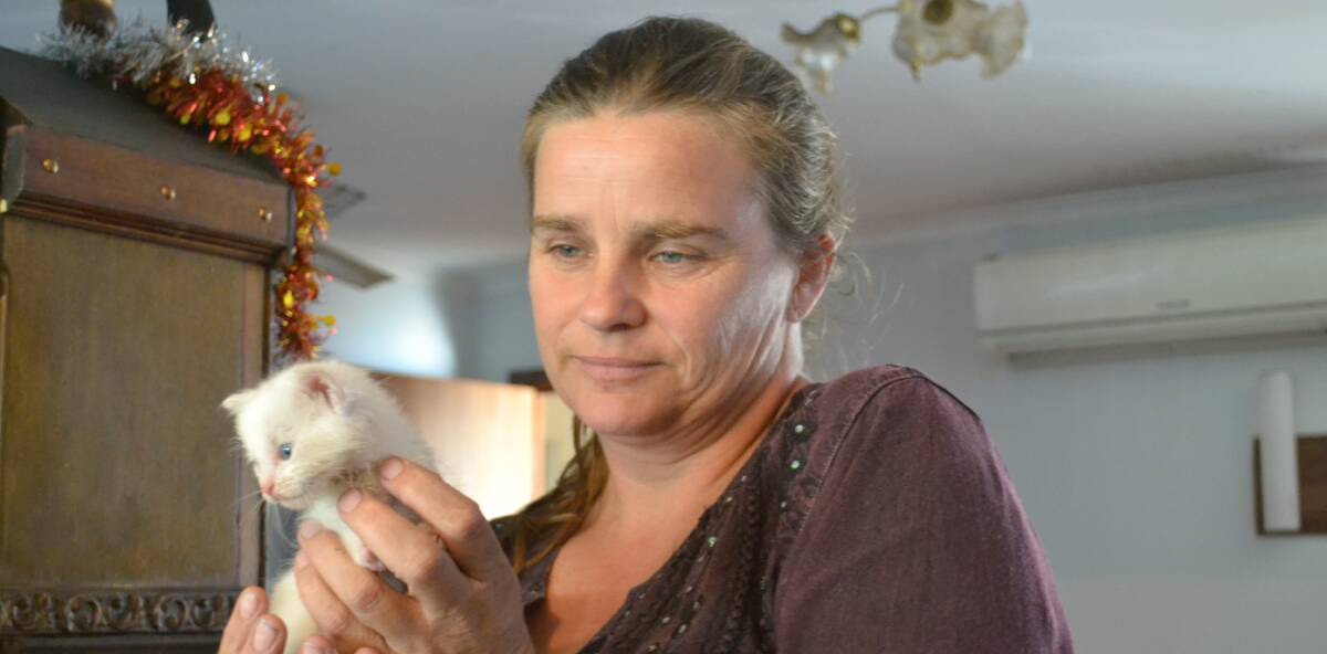 FELINE'S FRIEND: Wendy Fisher and 'Anzac', her new feline companion. Mrs Fisher found the kitten at Minninup Pool and nursed it back to health. 