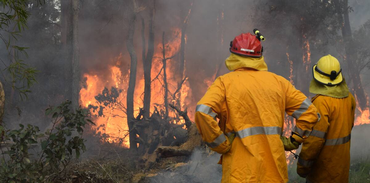 Hazard reduction: The Shire of Collie have started their bush fire hazard reduction plan in the lead up to bush fire season. Photo: Shannon Wood. 
