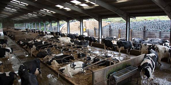 Farms and waterways to benefit from DairyCare