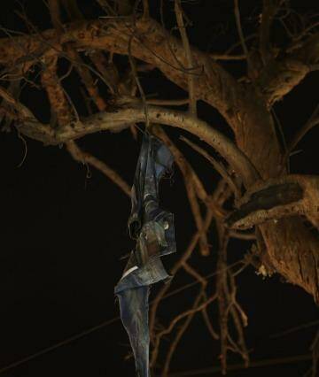 The jeans of a bombing victim hang from a burnt tree in the Karrada district of Baghdad. Photo: Kate Geraghty