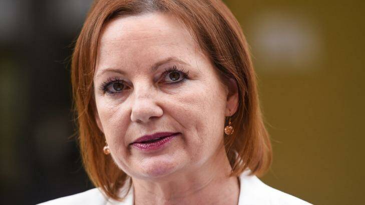 Health Minister Sussan Ley has insisted she has "nothing to hide" and will make a swift return to the ministry  Photo: Mark Jesser