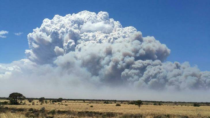 The smoke plume above Eyre Highway fire.  Photo: DFES 