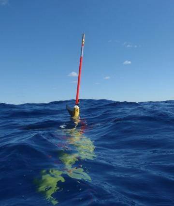 An IMOS ocean glider surfaces in water northwest of Western Australia to transmit data. Photo: AIMS