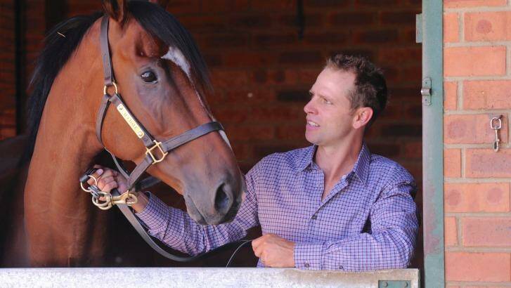 Canberra based horse trainer, Matthew
Dale with Fell Swoop. Photo: Graham Tidy