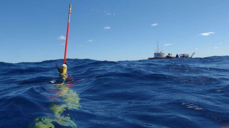 An IMOS ocean glider surfaces in water northwest of Western Australia to transmit data. Photo: AIMS