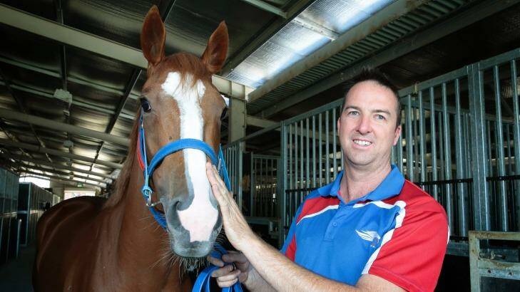 Canberra trainer Nick Olive believes Single Gaze is capable of group 1 glory in Brisbane.  Photo: Jeffrey Chan 