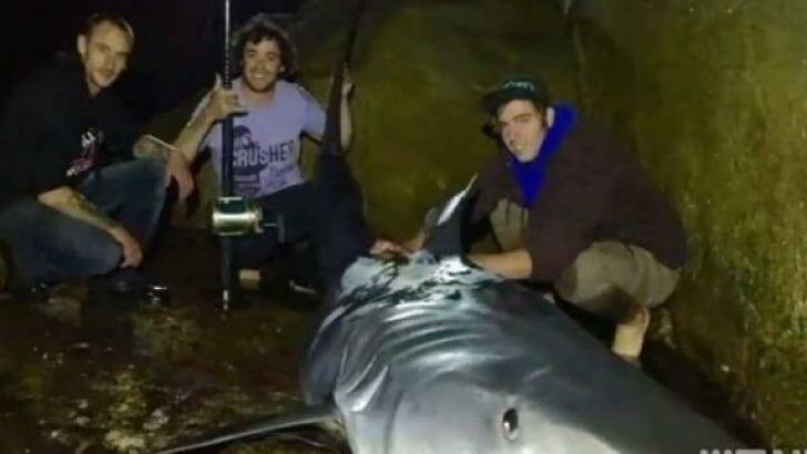 Nick and his friends with the 4.2m shark.  Photo: Facebook / 9 News Perth
