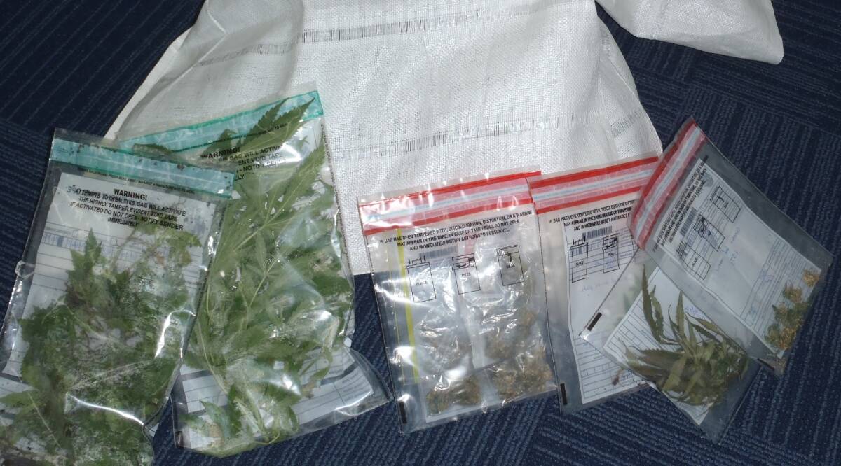 Secret stash: Cannabis seized by Collie police at a drug raid last week.