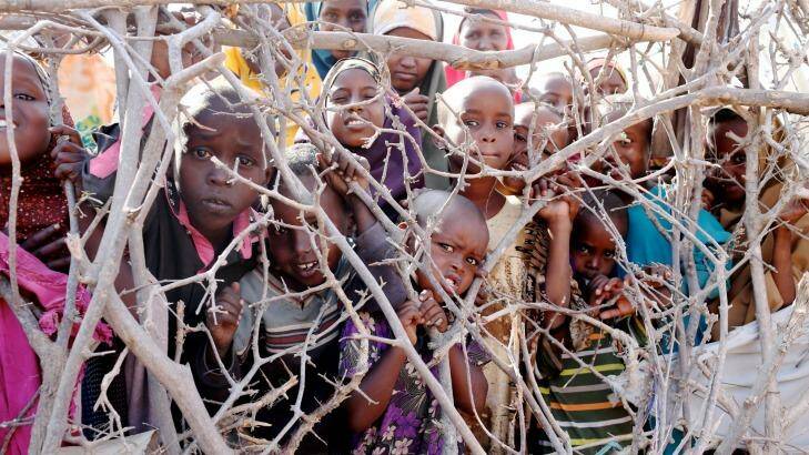 Crowded house: Children gather behind thorny bushes used as fencing inside the Dadaab camp. Photo: Edwina Pickles