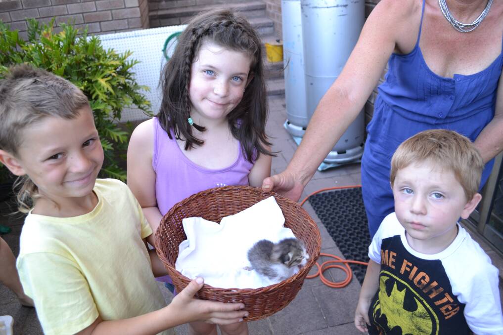 Lucky to be alive: The kitten with Ryder Kaurin, Evie Deangelis and Axle Deangelis.