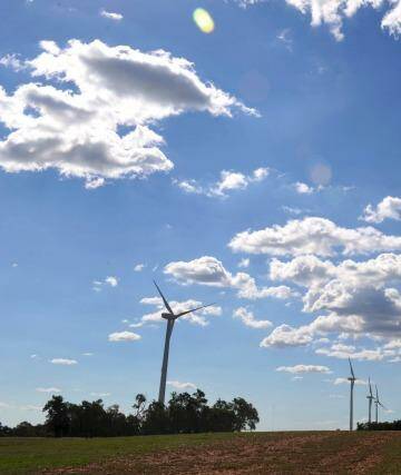A Senate hearing has heard the government's efforts to scale back the renewable energy target have set the industry back more than a decade. Photo: Graham Tidy