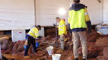 Fresh excavation work at Juukan Gorge in Western Australia has turned up some significant finds. (HANDOUT/SCARP ARCHAEOLOGY AND PKKP ABORIGINAL CORPORATION)