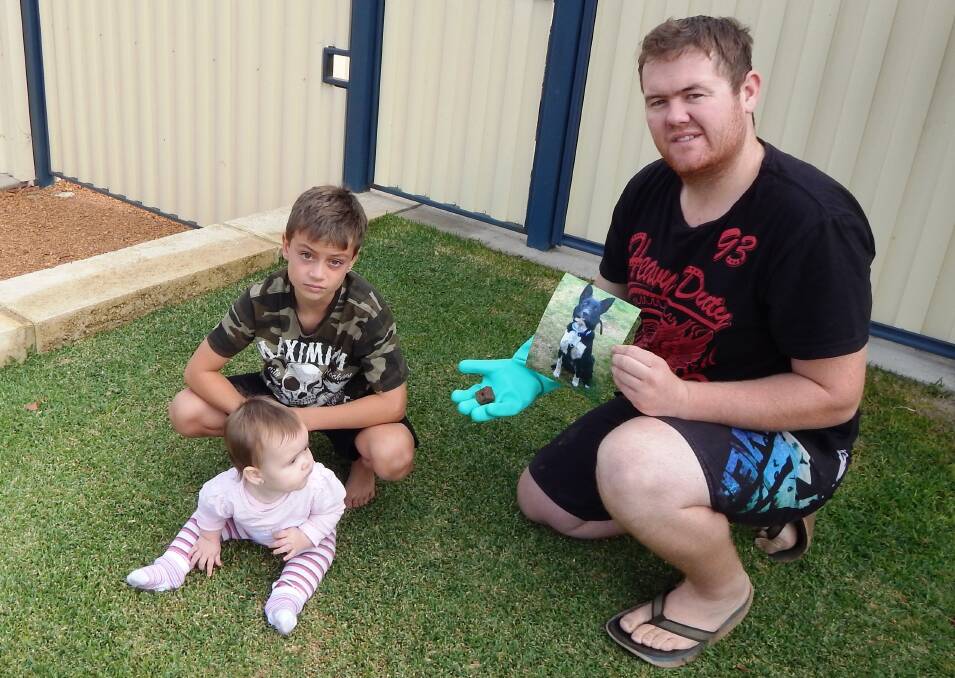 Pet death trauma: Jacob Kenning and Mylee Giles with Aaron Giles in the spot where Aaron discovered a suspicious object last week. He is holding the object, confirmed as a 1080 bait and a photograph of his dead dog.