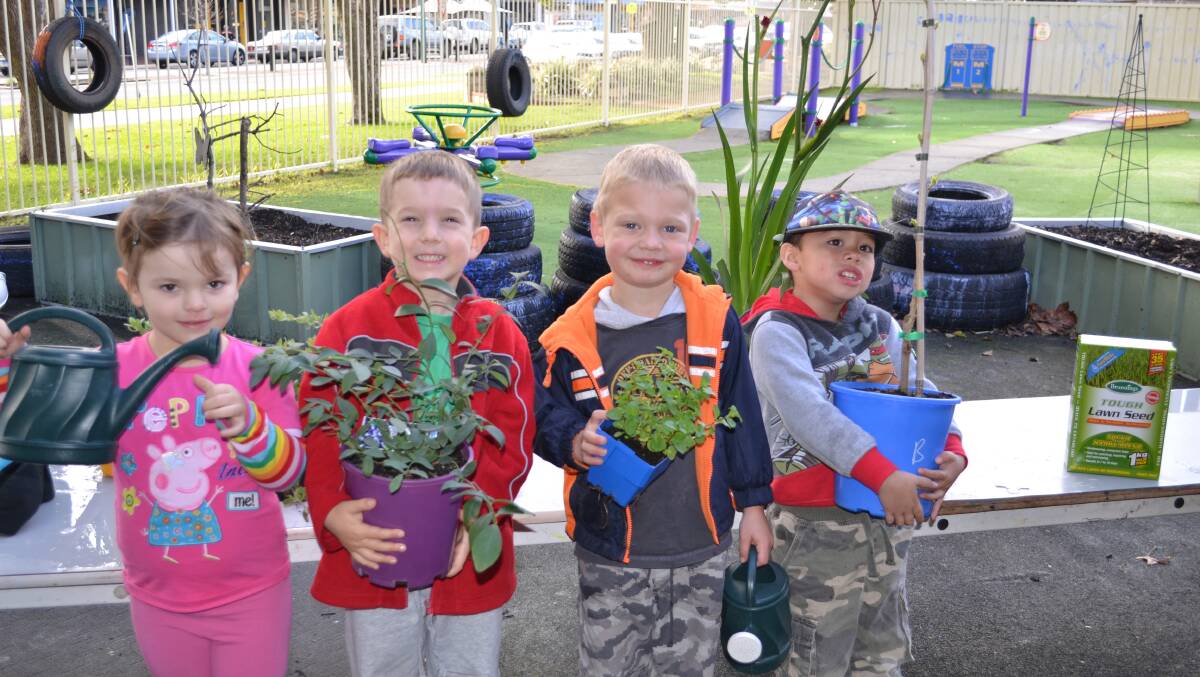 Lucy Swan, Thomas Whitney, Solomon Carder, Hayden Bignold from Collie Early Education Centre take part in National Tree Day organised by Collie Shire Council