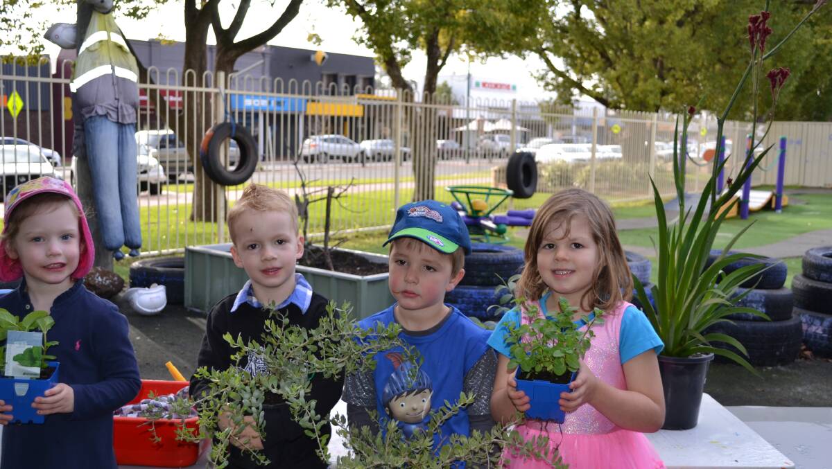 Riley Evans, Keith Ambrose, Jacob Fraser, Kimbalee Wright had fun during National Tree Day at Collie Early Education Centre