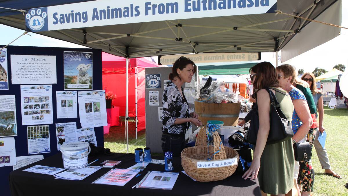 Lisa Slee talks about Saving Animals From Euthanasia.