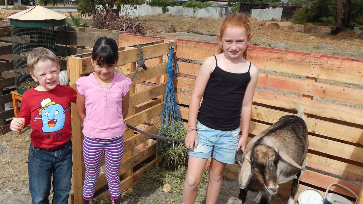 Collie played host to a garden workshop where local residents learnt to grow their own veges and were able to check out some feathered and furry friends.