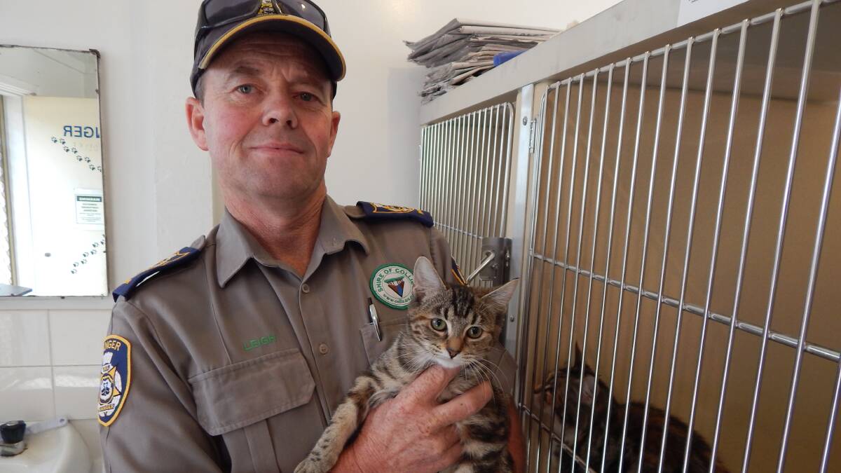 Collie Shire ranger Leigh O'Connor with a kitten at the pound in Collie.