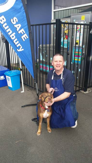 SAFE Bunbury president Mark Townsend with Coco who is seeking a forever home. 