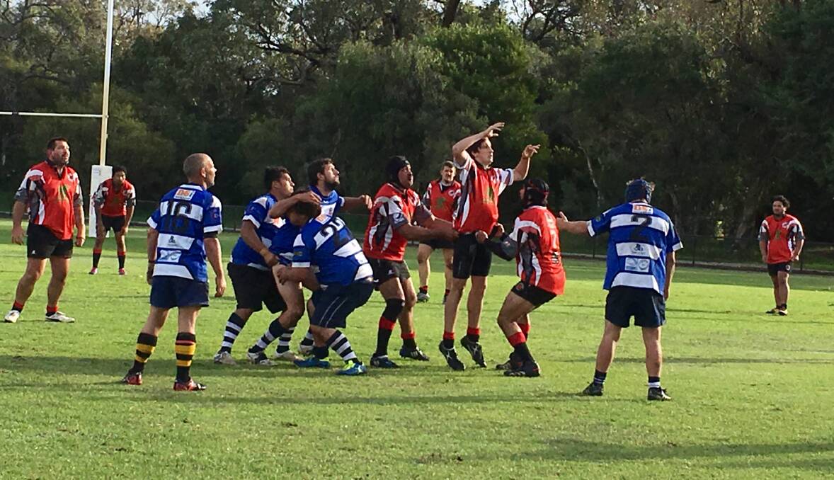 Hit hard: The Collie Mongrels went down to the Dunsborough Dungbeetles 27-5 in the first round of the South West 15's Rugby competition. The team's next game pits them against the Margaret River Gropers. 