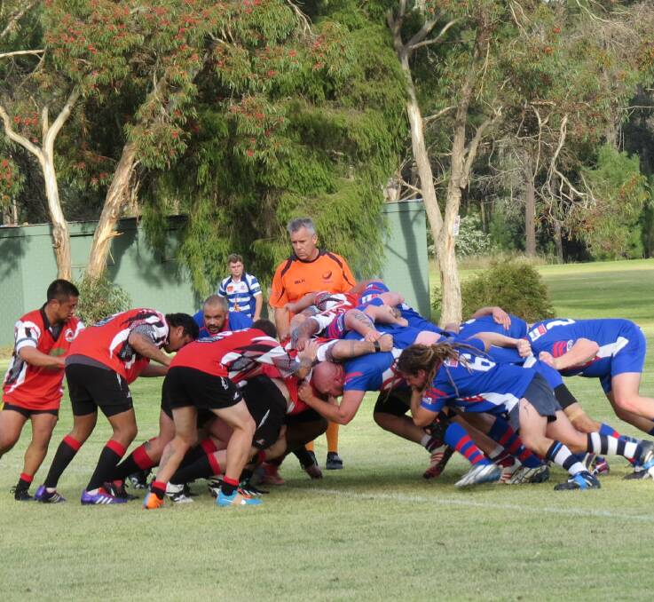Heads down: Collie Mongrels and Bunbury Bulls going head to head in the scrum on the weekend.  Ryan Johnson sealed the deal in the game, scoring a try which he converted giving Collie a 22-9 victory.