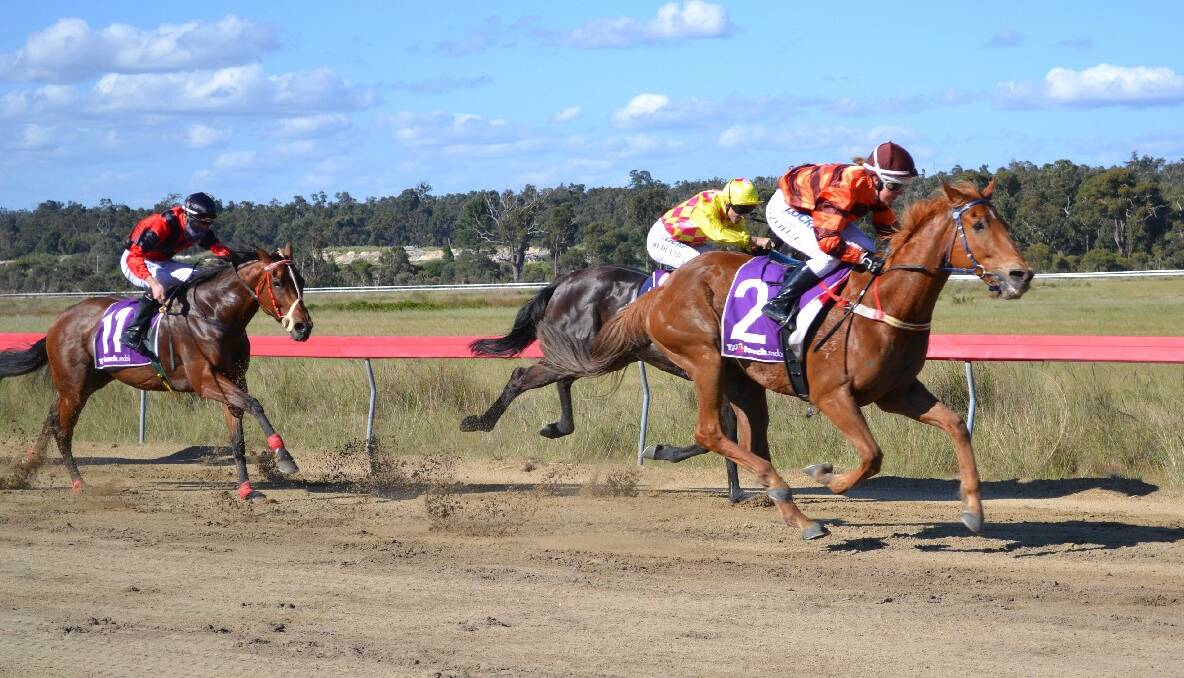 The Collie Cup was held on Saturday at the McVee Road Racecourse.
