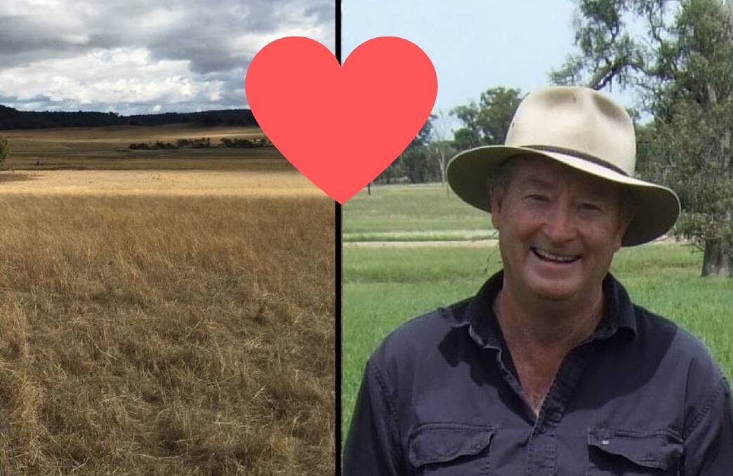 GRASSLAND: Gulgong farmer Colin Seis at his farm in February 2017 before the dry weather began (right) and his farm in July (left). He is one of the state's regenerative farmers.