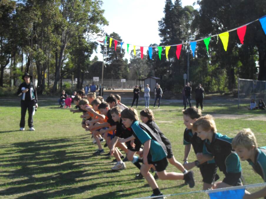 Allanson Primary School hosted the Collie schools cross country event earlier this month. 