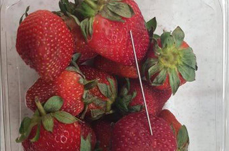 Strawberry crisis hits across Australia