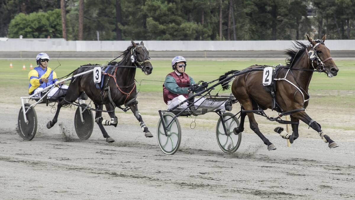 Keeping pace: Mon Alisa Jet (No 2) won for Karen and Cody Wallrodt in the TBS Stockfeeds Pace. Photo: Jessica Ashcroft.