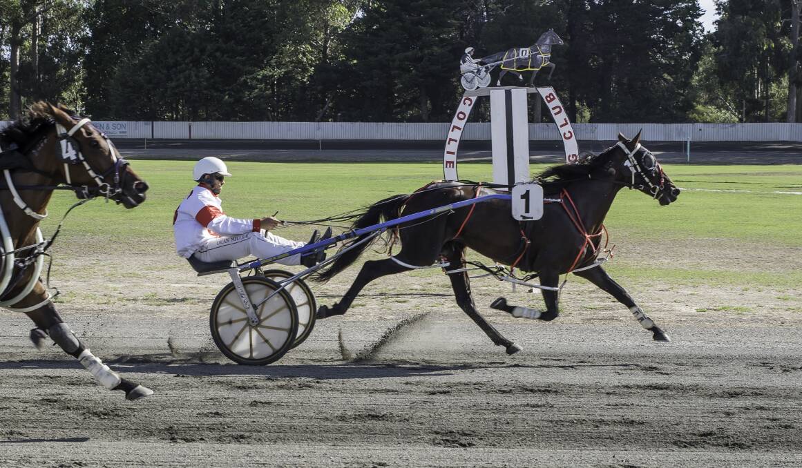 Rolling on: Favourite Adda Rockinheaven  won the Telstra 5G pace for Dean Miller, at the Collie course on Sunday. Photo: Jessica Ashcroft.