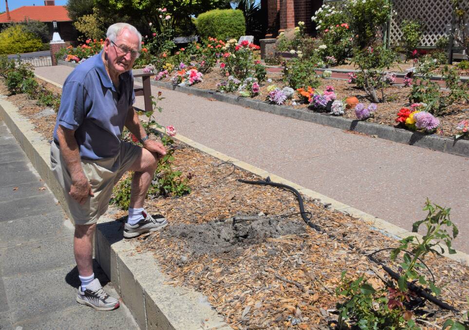 Ray Hebbard was shocked to find the roses stolen from the church's garden last week. Photo: Ashley Bolt
