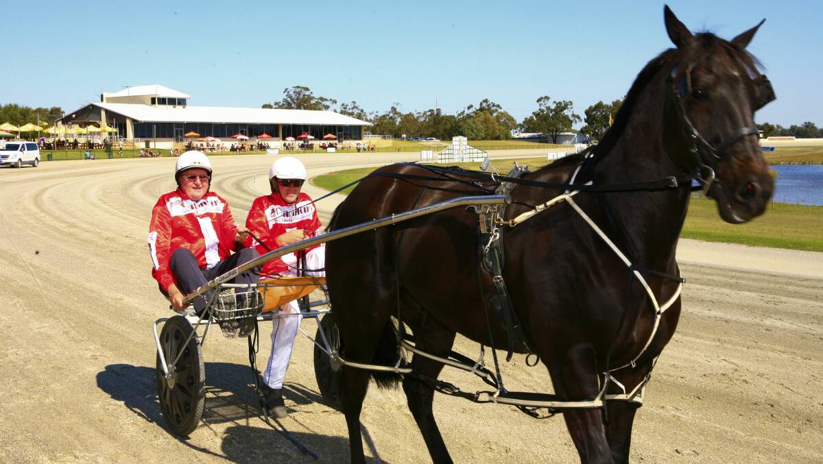 Children will have the chance to ride in a dual sulky with one of the regular drivers at this weekend's meet at the Collie Harness Racing Club. Photo: supplied