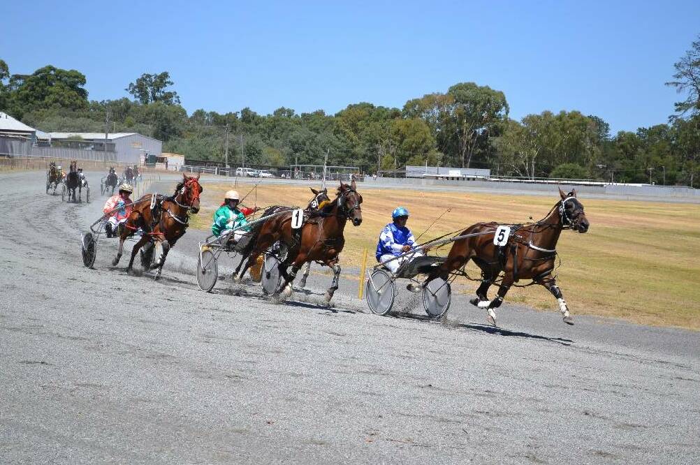Nine Collie horses placed during harness racing meets during the last week.