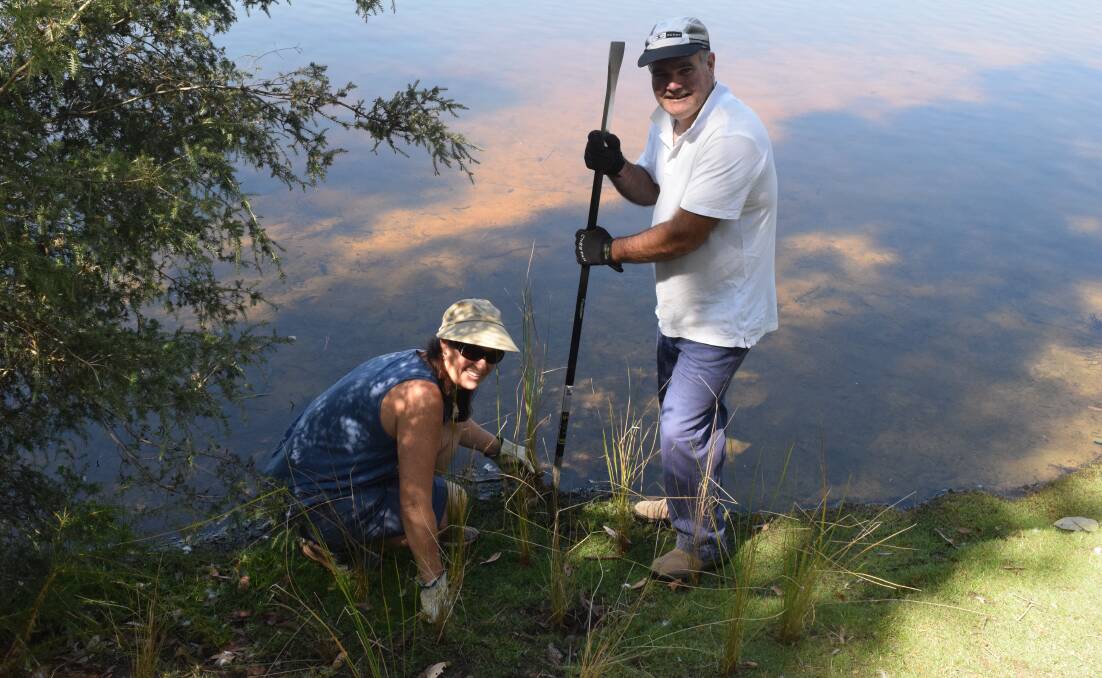 The Friends of the Collie River were out planting reeds at Minninup Pool. Photos by Ashley Bolt.