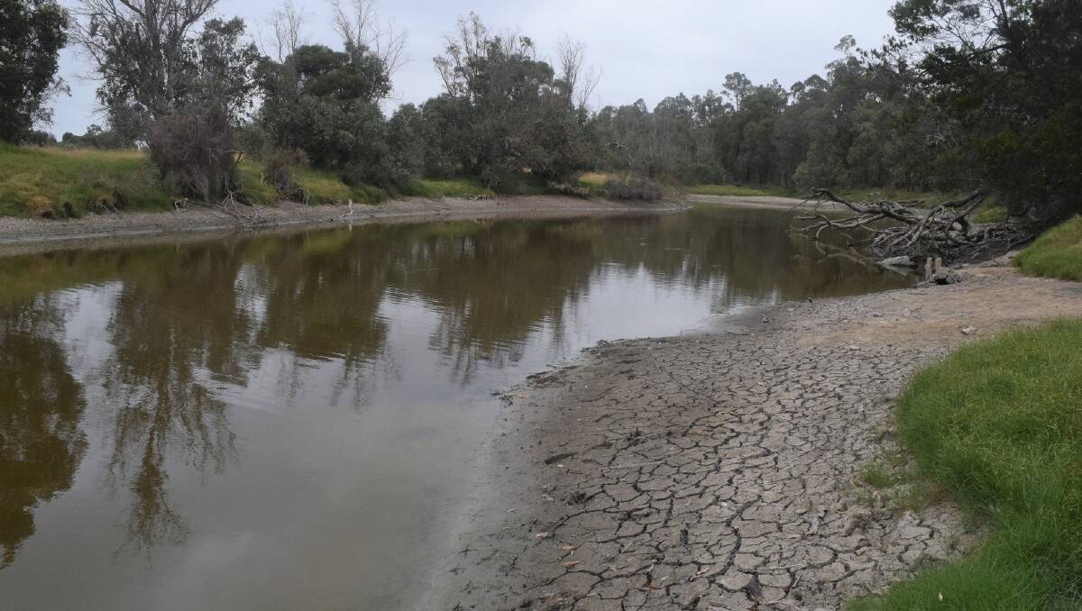 The Collie River has been affected by low water levels, but research by DWER found wildlife numbers in the river were positive. Photo: Ashley Bolt