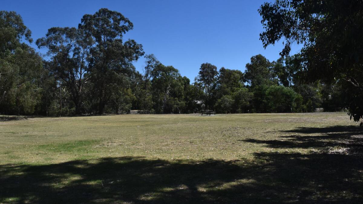 The proposed site of the dog agility park in Timber Park. Photo: Ashley Bolt