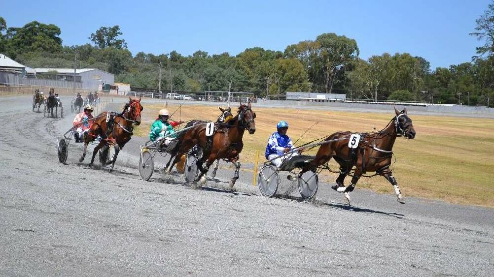 Collie pacers had some good results for the third week in a row. Photo supplied.