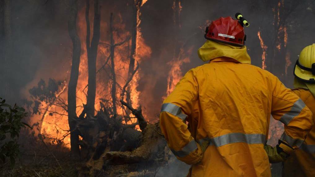 The state government is offering $2 million for bushfire mitigation.