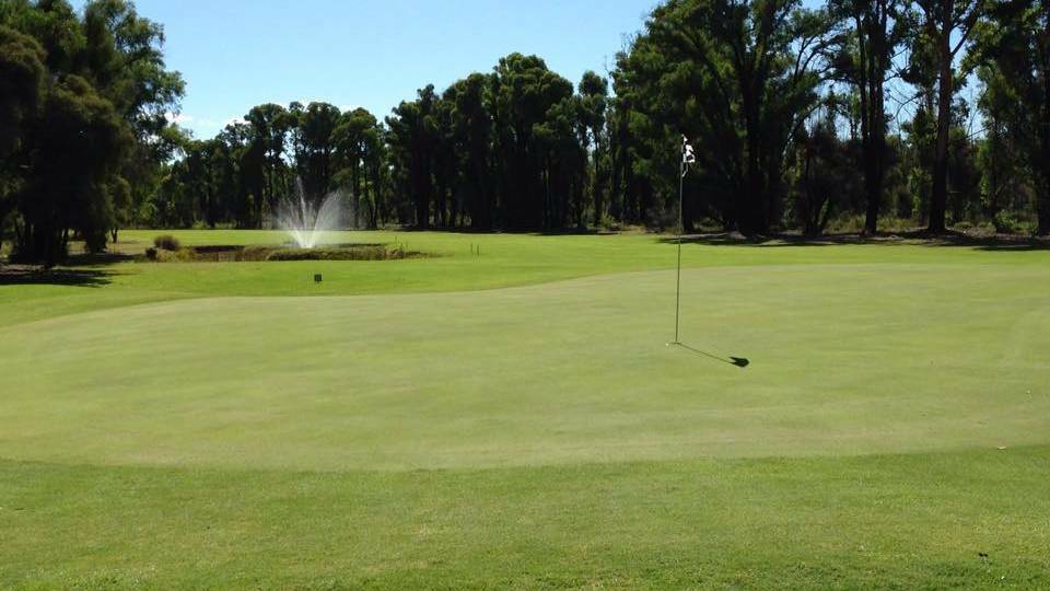 There was no rest at the Collie Golf Club over the holidays, with Neil Motion and Peter Coombs picking up big wins.