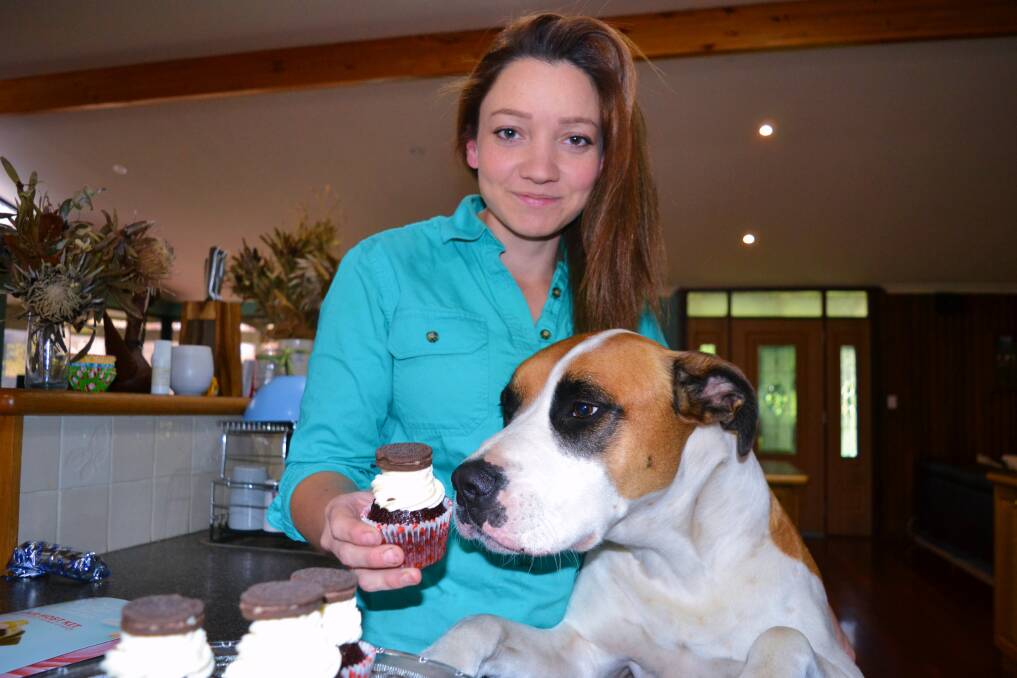 Local Mystique Hillier and her dog Bentley will be selling cupcakes along with other sweet treats to raise money for the RSPCA Cupcake Day on Monday, August 20.  Photo: Breeanna Tirant