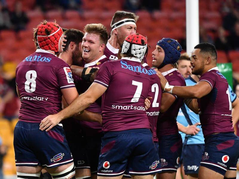 The Queensland Reds have a host of local talent as Brad Thorn's rebuild begins to pay dividends.