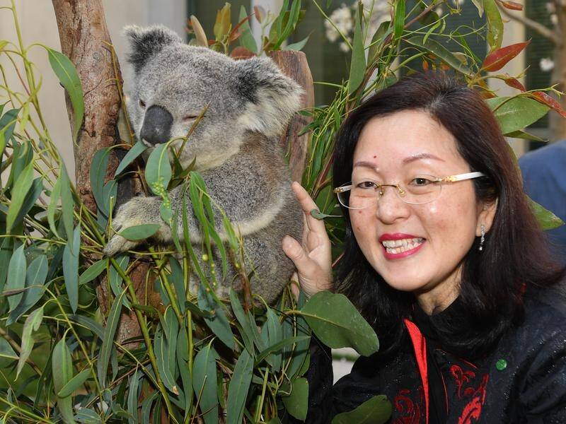 A newly-elected Liberal MP is under pressure over her links to the Chinese Communist Party.