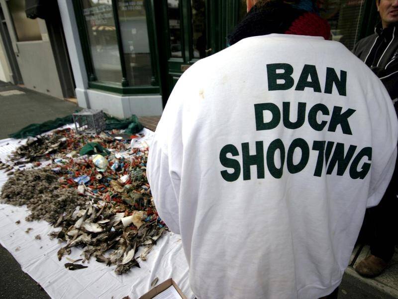 Duck hunting in Victoria has drawn protests for years, like this one in 2006, but it remains legal.