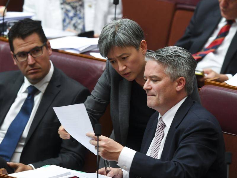 Penny Wong was judged by a non-partisan panel to be showing Australia's best political leadership.