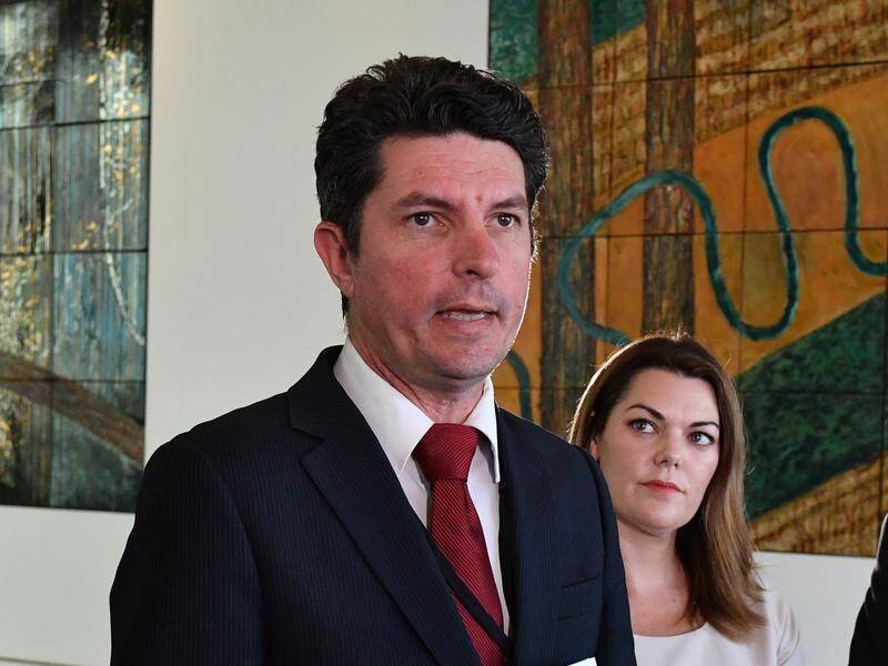 A magistrate has rejected strict bail conditions imposed on former Greens senator Scott Ludlam.