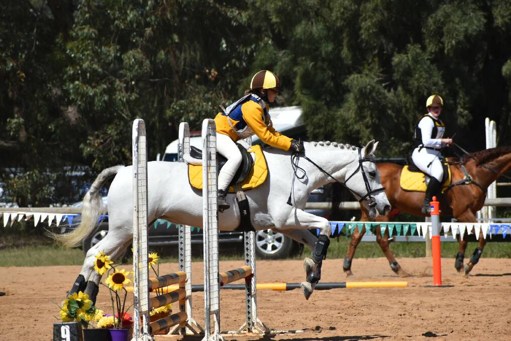 Local Star: Nina Bercene and Miss Polly Pocket in mid-jump at the 2019 WA State Eventing Championships last weekend. Photo: Supplied.