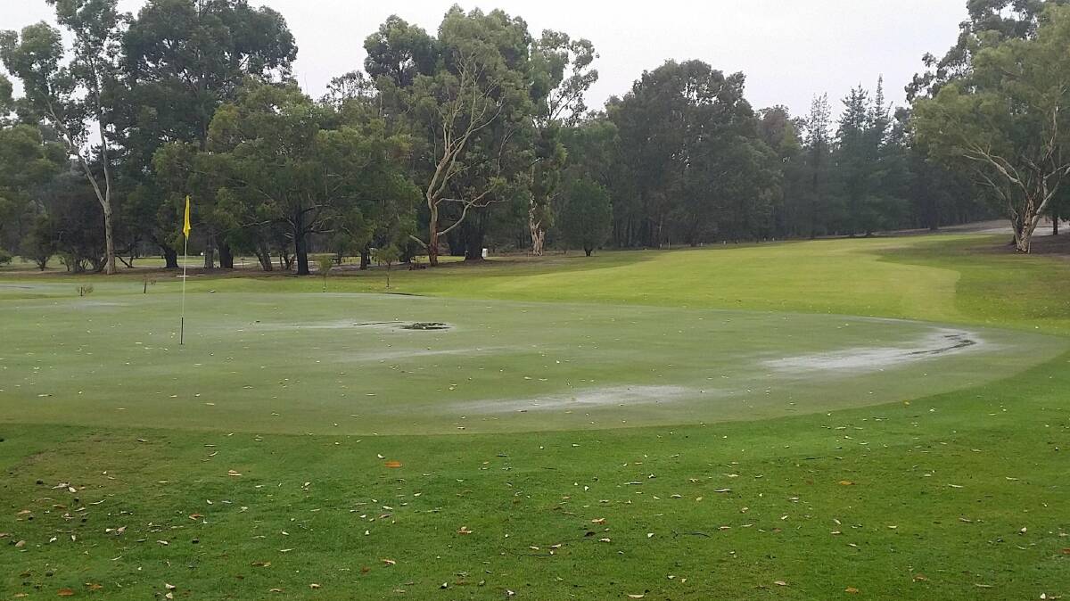 Water on the greens. Photo: supplied.